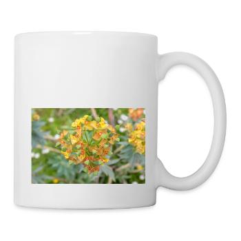 blooming colorful Wolfsmilch (Euphorbia) flower - Mug - white - Right