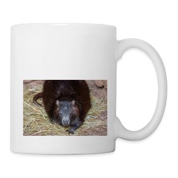 Hutia cubain aussi hutia-conga aussi huti de Desmarest - Mug blanc - blanc - Droite