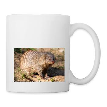 Gebänderte Manguste oder Zebramanguste Zebramanguste - Tasse - Weiß - Rechts