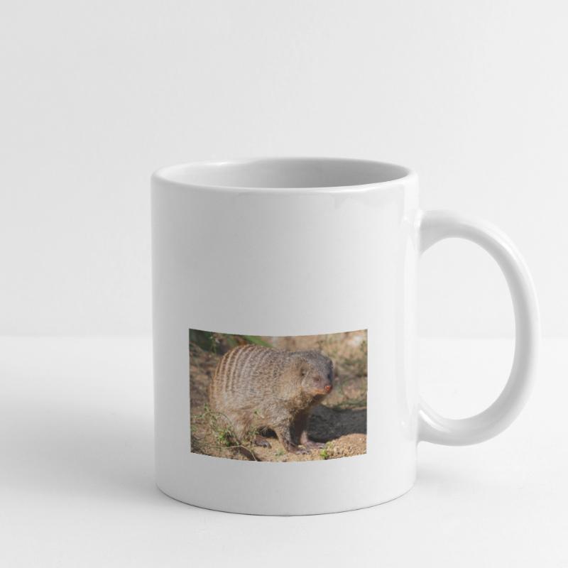 Gebänderte Manguste oder Zebramanguste Zebramanguste Tasse