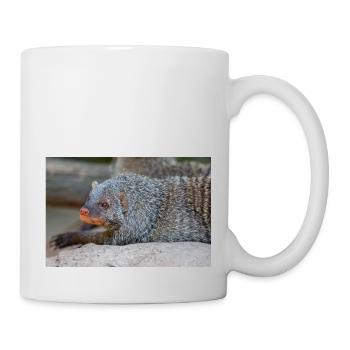 Gebänderte Manguste oder Zebramanguste Zebramanguste - Tasse - Weiß - Rechts