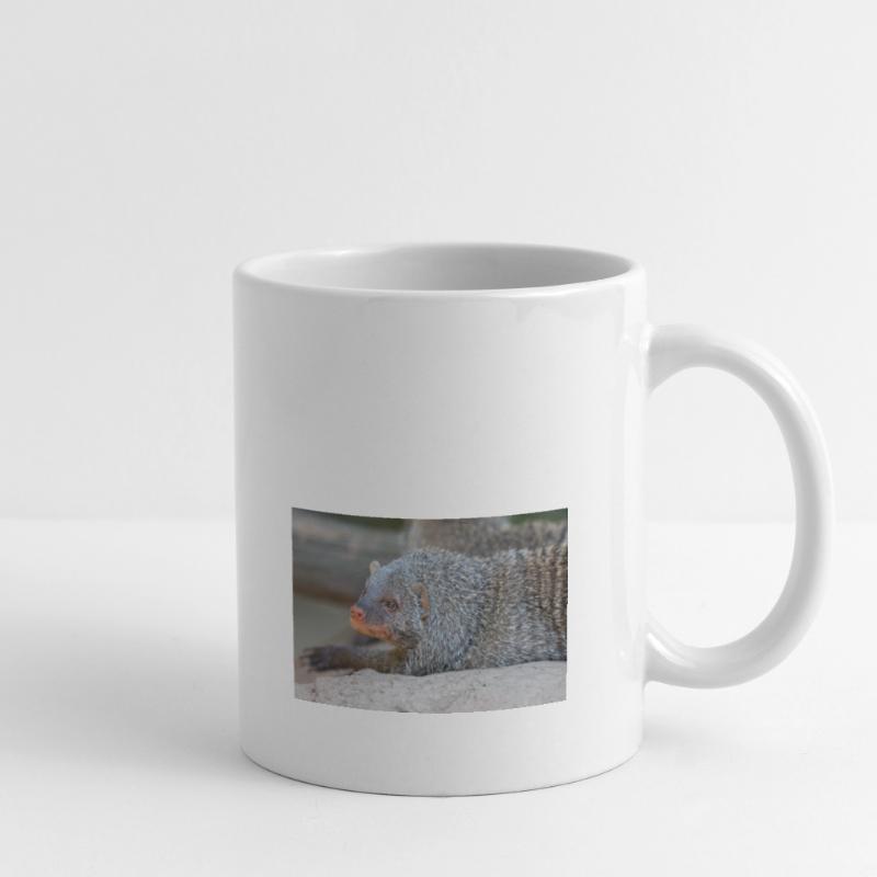 Gebänderte Manguste oder Zebramanguste Zebramanguste Tasse