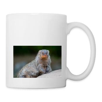 Gebänderte Mungo, Zebra, Mungo, Zebramanguste - Tasse - Weiß - Rechts