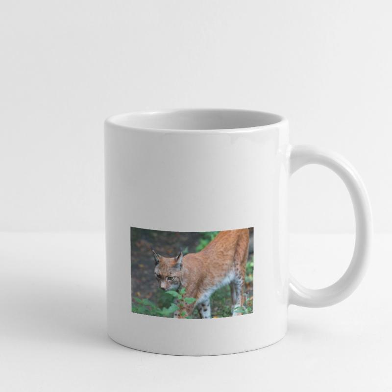 Eurasischer Luchs oder Nördlicher Luchs Tasse