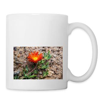 plante de glace rampante rustique carpe rose de glace - Mug blanc - blanc - Droite