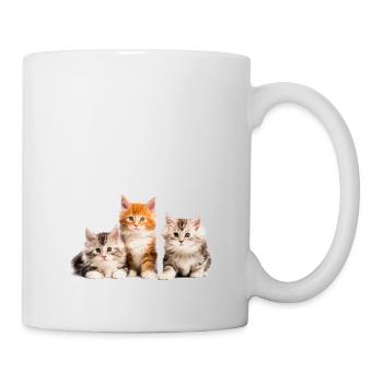 chatons maine coon chats mignons - Mug blanc - blanc - Droite