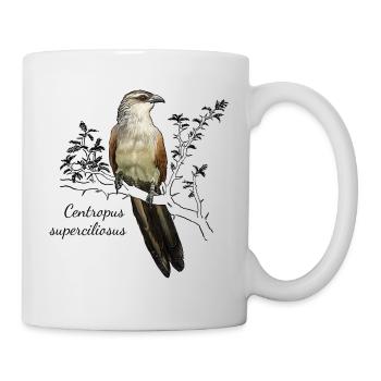 White-brown cuckoo - Centropus superciliasus - Mug - white - Right