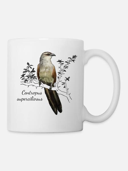 Weißbrauenkuckuck - Centropus superciliasus - Tasse - Weiß