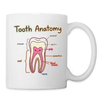 Tooth Anatomy Dental Assistant Dentist - Mug - white - Right