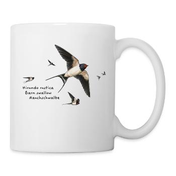 Hirondelles fumées - Mug blanc - blanc - Droite