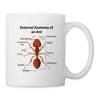 Ameise Halten Keeper Sammler Insekten Myrmologie - Tasse - Weiß - Rechts