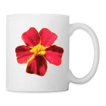 Tagetes - Tasse - Weiß - Rechts