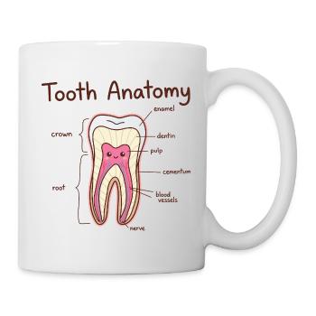 Tooth Anatomy Dental Assistant Dentist - Mug - white - Right