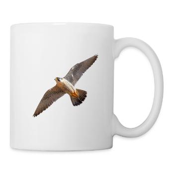 Peregrine falcon in gliding flight – power & precision - Mug - white - Right