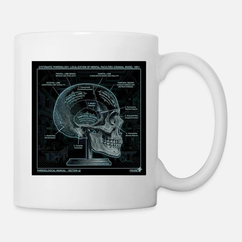 Skull Phrenology Diagram Art - Mug - white