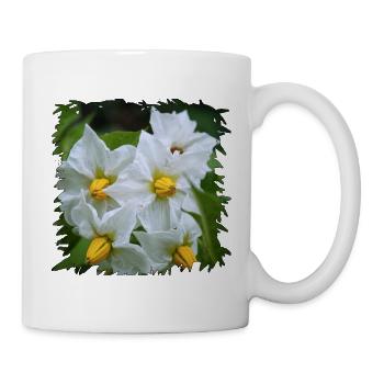 Weiße Kartoffel Blüten mit gelben Staubgefäßen - Tasse - Weiß - Rechts