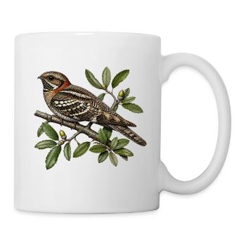 Nightjar | Caprimulgus ruficollis - Tasse - Weiß - Rechts