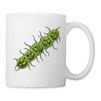 Grünalgen Zellkette – Mikroskopische Naturkunst - Tasse - Weiß - Rechts