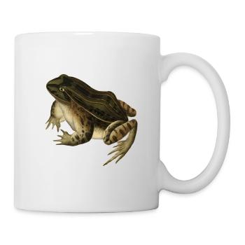 Frosch Kröte Kröte Frosch Illustration Zeichnung Vintage - Tasse - Weiß - Rechts