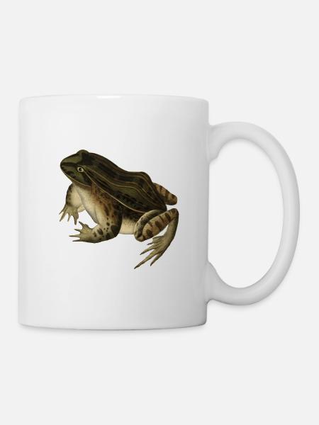 Frosch Kröte Kröte Frosch Illustration Zeichnung Vintage - Tasse - Weiß