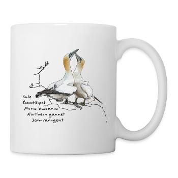 Basstölpel - Morus bassanus - Mug blanc - blanc - Droite