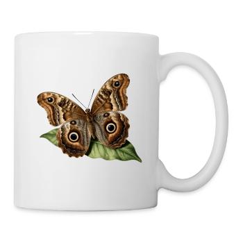 Caligo eurilochus — Naturalistic owl butterfly - Mug - white - Right