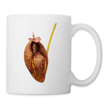 Nepenthes aristolochioides - Mug - white - Right