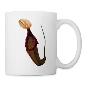 Nepenthes x miranda - Tasse - Weiß - Rechts