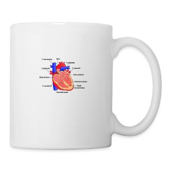 Anatomical human heart with lettering - Mug - white - Right