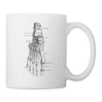 Menschlicher Körper - Fuß - Tasse - Weiß - Rechts