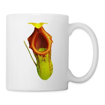 Nepenthes burkei - Tasse - Weiß - Rechts