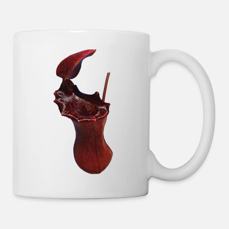 Nepenthes x briggsiana - Tasse - Weiß