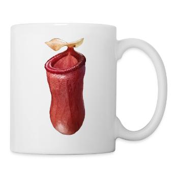 Nepenthes ventricosa - Tasse - Weiß - Rechts