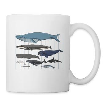Whale species whale marine mammals - Mug - white - Right