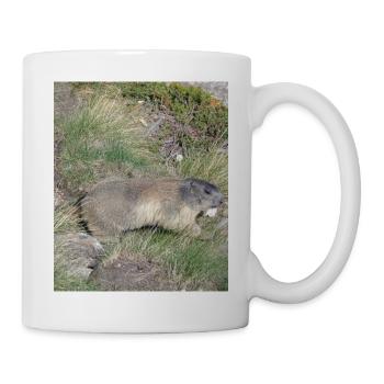 Marmotte - Mug blanc - blanc - Droite