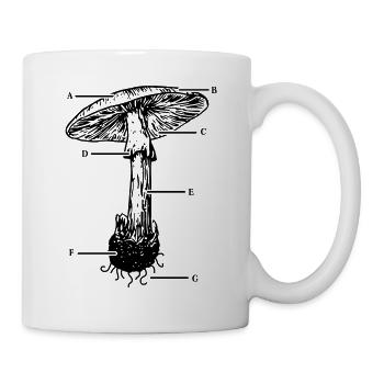 Pilz Anatomie CottageCore Natur Design - Tasse - Weiß - Rechts