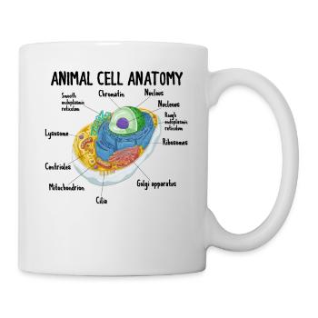 Anatomy Of Animal Cell Biology Biologist Science - Tasse - Weiß - Rechts