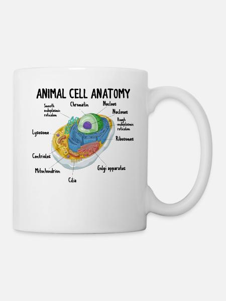 Anatomie des cellules animales Biologie Biologiste Science - Mug blanc - blanc