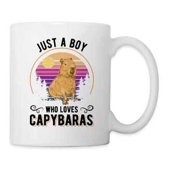 Just a boy who loves Capybaras capybara - Mug - white - Right