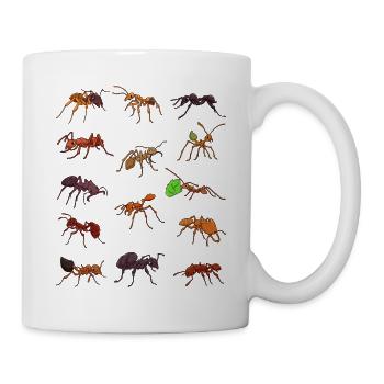 Viele verschiedene Ameisenarten - Tasse - Weiß - Rechts