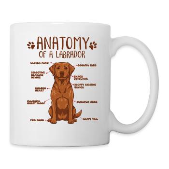 Anatomy of a Fox Red Labrador - Mug - white - Right