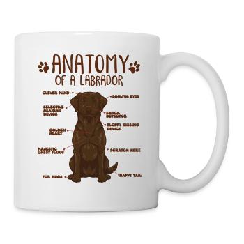 Anatomy of a brown Labrador - Mug - white - Right