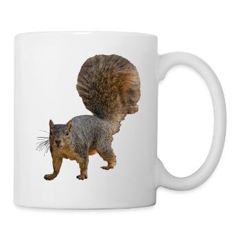 Squirrel from the front, Eastern fox squirrel - Mug - white - Right