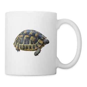 Schildkröte Kinder Junge Mädchen Geschenk - Tasse - Weiß - Rechts