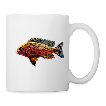 Aulonocara Aquarium Cichlide Buntbarsch Malawisee - Tasse - Weiß - Rechts
