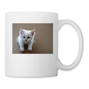 Kitten cute blue eyes - Mug - white - Right