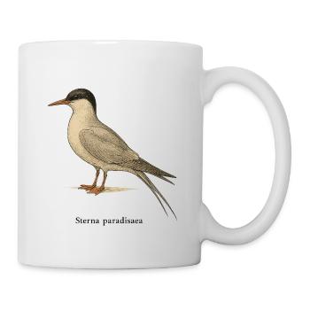 Arctic Tern – Ornithological Illustration - Mug - white - Right