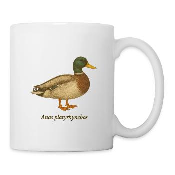 Mallard - Vintage Illustration - Mug - white - Right