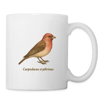 Bullfinch - Vintage Illustration - Mug - white - Right