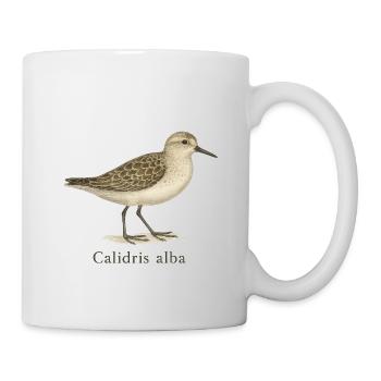 Sanderling – Calidris alba - Mug - white - Right